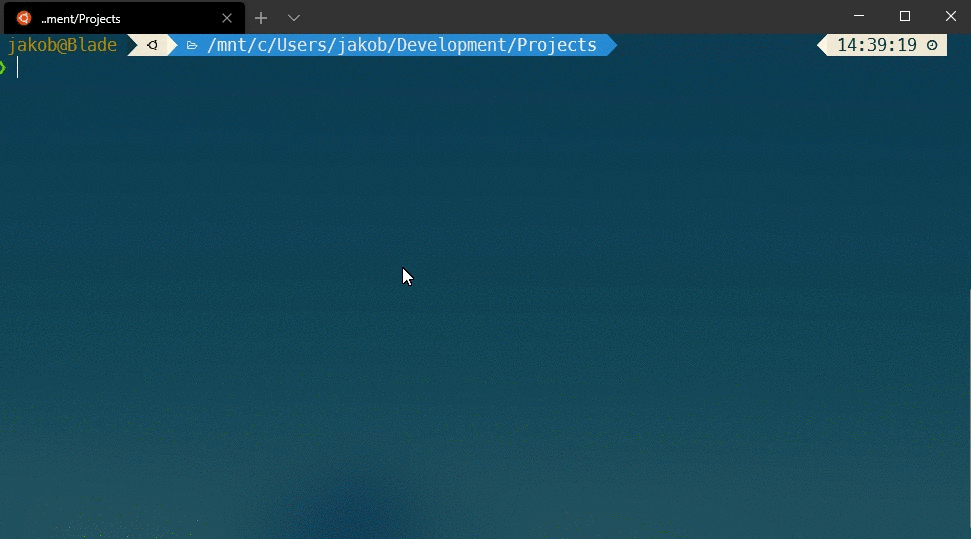 Cloning a git repository in WSL.